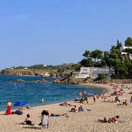 Studio Moderne Argeles Sur Mer.La Plage A Pieds, Espagne A 30Mn Exteriér fotografie